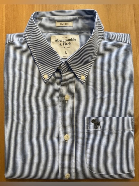 Abercrombie & Fitch Other - Abercrombie & Fitch Men's Short-Sleeve Blue Stripe Button-Down Shirt